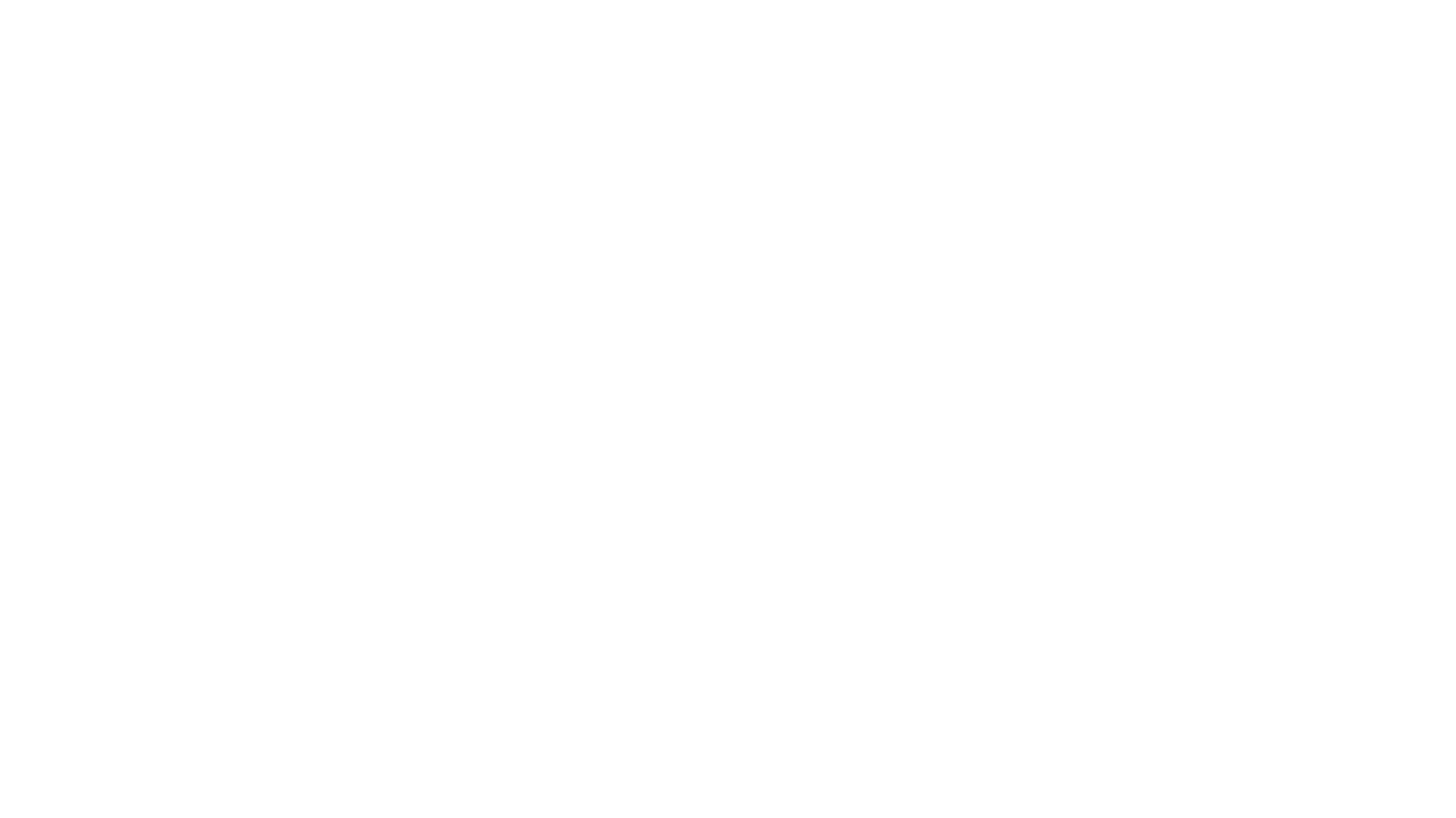 Levis Wit